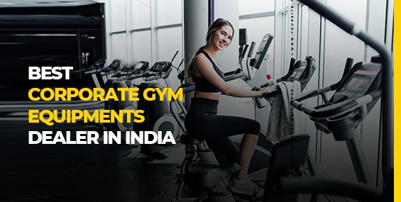 Gym Equipments Dealer in India